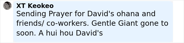 'Lilo & Stitch' Actor David Hekili Kenui Bell Passes Away Suddenly At 57 'Lilo & Stitch' Actor David Hekili Kenui Bell Passes Away Suddenly At 57