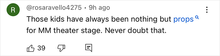 Screenshot of a social media comment accusing Meghan Markle of treating her kids like accessories during a flight. Screenshot of a social media comment accusing Meghan Markle of treating her kids like accessories during a flight.
