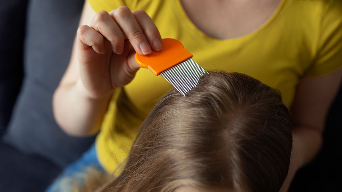 Person using an orange lice comb to check a child's hair for lice during an outbreak at home.
