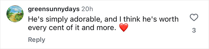 Comment on social media praising an adorable puppy successfully treated by Aussie vets for a life-saving surgery. Comment on social media praising an adorable puppy successfully treated by Aussie vets for a life-saving surgery.