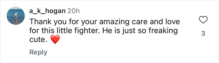 Comment on social media thanking Aussie vets for life-saving surgery on a puppy born without butthole, expressing love and care. Comment on social media thanking Aussie vets for life-saving surgery on a puppy born without butthole, expressing love and care.