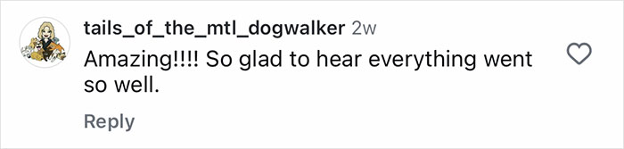 Comment praising Aussie vets for successful life-saving surgery on a puppy born without a butthole. Comment praising Aussie vets for successful life-saving surgery on a puppy born without a butthole.