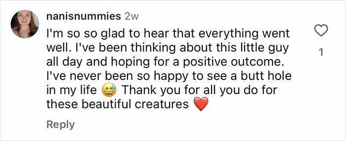 Screenshot of a social media comment expressing relief and gratitude about Aussie vets performing life-saving surgery on a puppy born without butthole. Screenshot of a social media comment expressing relief and gratitude about Aussie vets performing life-saving surgery on a puppy born without butthole.