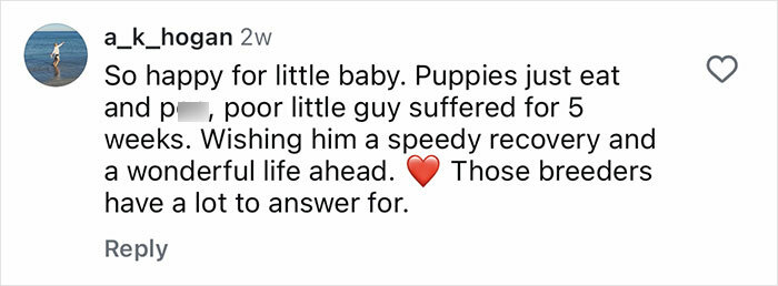 Social media comment expressing support for a puppy born without a butthole and wishing a speedy recovery after surgery. Social media comment expressing support for a puppy born without a butthole and wishing a speedy recovery after surgery.