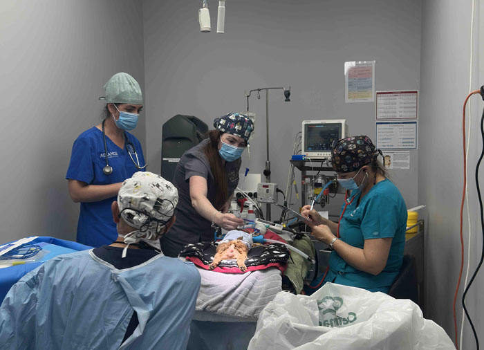 Aussie vets performing life-saving surgery on a puppy born without a butthole in a veterinary operating room. Aussie vets performing life-saving surgery on a puppy born without a butthole in a veterinary operating room.