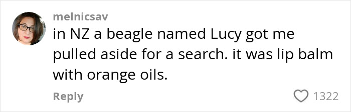 Comment about K9 sniffing undeclared items in passenger luggage during a search, mentioning a beagle named Lucy in New Zealand. Comment about K9 sniffing undeclared items in passenger luggage during a search, mentioning a beagle named Lucy in New Zealand.