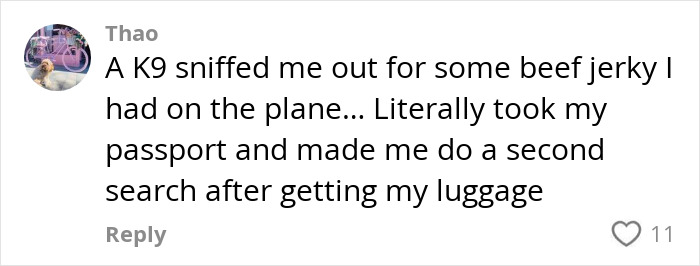 Comment from Thao about a K9 sniffing luggage on a plane, leading to a second search for undeclared items. Comment from Thao about a K9 sniffing luggage on a plane, leading to a second search for undeclared items.