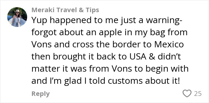 Comment from Meraki Travel & Tips sharing a warning about undeclared apple in luggage crossing the US-Mexico border. Comment from Meraki Travel & Tips sharing a warning about undeclared apple in luggage crossing the US-Mexico border.