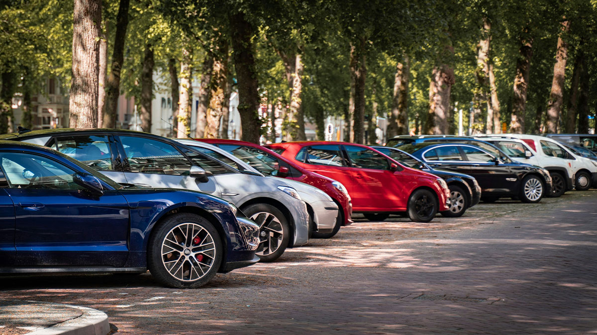 Various cars parked along a tree-lined street on a sunny day, with dates possibly at a loss for words.
