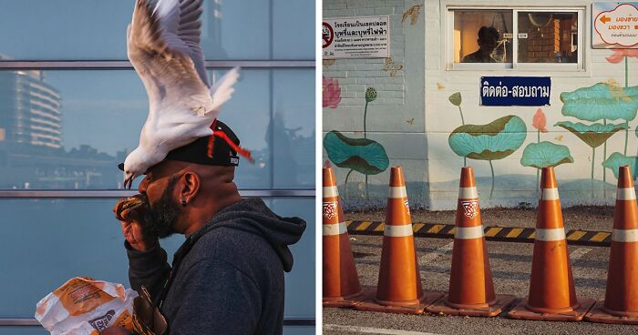 Man eating sandwich with bird landing on his head, and street scene with traffic cones and mural, candid street photo.