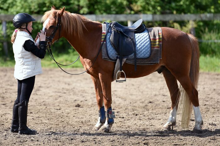 Young child wearing riding gear gently touching a pony.