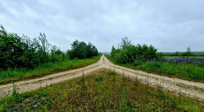 Forked dirt road surrounded by grass and trees under a cloudy sky, symbolizing theories about the afterlife.