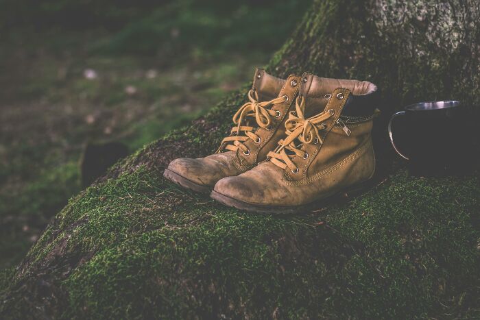 Worn boots resting on mossy tree root, symbolizing stories of people ruining their life with one wrong deed shared online.