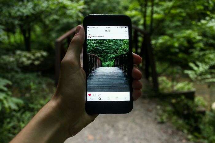 Hand holding smartphone showing a wooden bridge photo, surrounded by green foliage, illustrating subtle signs of low self-esteem.