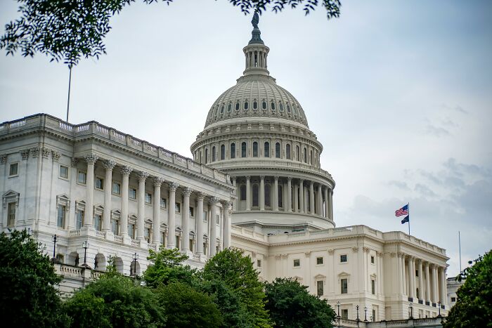 U.S. Capitol building with trees in foreground, symbolizing stories of people ruining their life with one wrong deed.