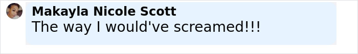 Commenter Makayla Nicole Scott reacts with text saying The way I would've screamed in a social media style comment box. Commenter Makayla Nicole Scott reacts with text saying The way I would've screamed in a social media style comment box.
