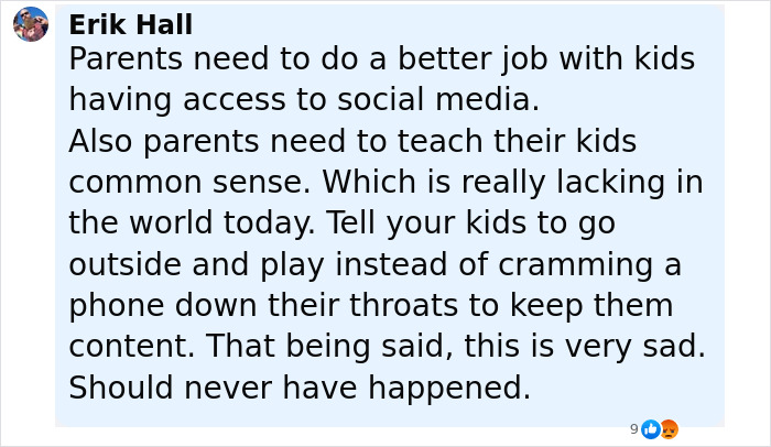 User comment by Erik Hall discussing the need for parents to guide kids on social media and common sense amid viral scarf challenge risks. User comment by Erik Hall discussing the need for parents to guide kids on social media and common sense amid viral scarf challenge risks.