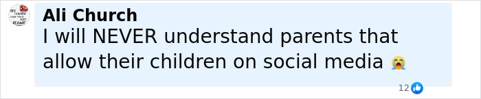 Screenshot of a social media comment expressing concern about children using social media related to viral scarf challenge risks. Screenshot of a social media comment expressing concern about children using social media related to viral scarf challenge risks.