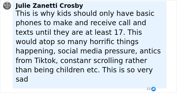 Commenter Julie Zanetti Crosby expressing concern over kids having basic phones due to social media pressure and viral challenges risks. Commenter Julie Zanetti Crosby expressing concern over kids having basic phones due to social media pressure and viral challenges risks.