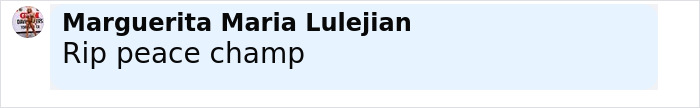 Comment reading Rip peace champ by Marguerita Maria Lulejian on a social media post about a bodybuilder dubbed She Hulk fatally harmed by husband.