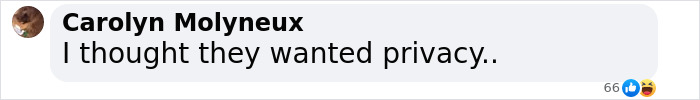 Facebook comment from Carolyn Molyneux saying "I thought they wanted privacy" with 66 reactions. Facebook comment from Carolyn Molyneux saying "I thought they wanted privacy" with 66 reactions.
