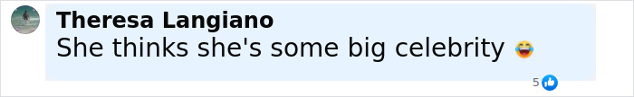 Facebook comment by Theresa Langiano saying she thinks someone is a big celebrity, related to Karen Read acquitted trial. Facebook comment by Theresa Langiano saying she thinks someone is a big celebrity, related to Karen Read acquitted trial.