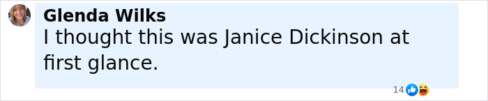 Comment by Glenda Wilks mentioning Janice Dickinson, displayed on a light blue background with social reaction icons. Comment by Glenda Wilks mentioning Janice Dickinson, displayed on a light blue background with social reaction icons.
