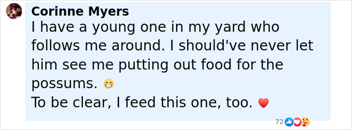 Baby Raccoon Rescued In The Most Wholesome Way After Getting Stranded On Doorstep In Heavy Rains