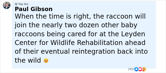 Baby Raccoon Rescued In The Most Wholesome Way After Getting Stranded On Doorstep In Heavy Rains