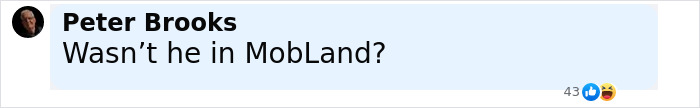 Comment by Peter Brooks asking if someone was in MobLand, shown in a social media post about Norwegian Crown Princess’s son facing charges.