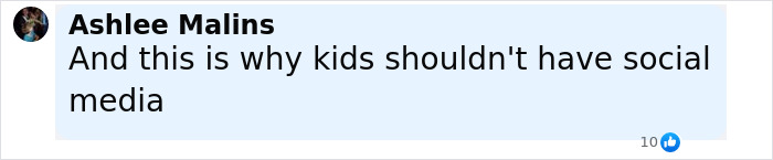 Comment by Ashlee Malins stating why kids shouldn't have social media, highlighting concerns related to viral challenges among children. Comment by Ashlee Malins stating why kids shouldn't have social media, highlighting concerns related to viral challenges among children.