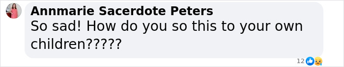Comment expressing sadness and disbelief about a fugitive dad who took the lives of his three daughters. Comment expressing sadness and disbelief about a fugitive dad who took the lives of his three daughters.