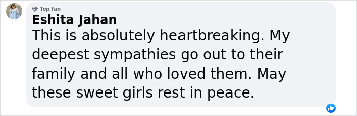 Comment expressing heartbreak and sympathy for the family of three daughters taken by fugitive dad. Comment expressing heartbreak and sympathy for the family of three daughters taken by fugitive dad.