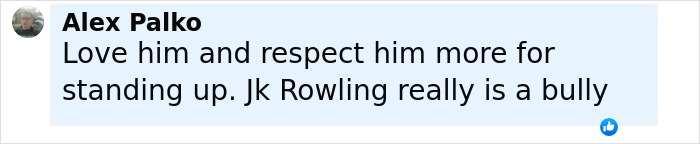 Comment by Alex Palko expressing support for Pedro Pascal defending his criticism of JK Rowling online. Comment by Alex Palko expressing support for Pedro Pascal defending his criticism of JK Rowling online.