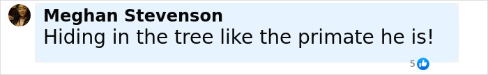 Comment by Meghan Stevenson shown on a social media post expressing frustration about someone hiding in a tree like a primate. Comment by Meghan Stevenson shown on a social media post expressing frustration about someone hiding in a tree like a primate.