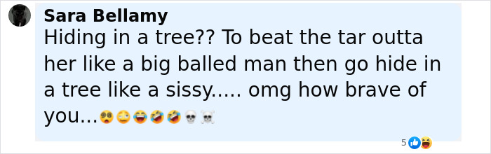 Comment by Sara Bellamy expressing disbelief and sarcasm about someone hiding in a tree after a violent encounter. Comment by Sara Bellamy expressing disbelief and sarcasm about someone hiding in a tree after a violent encounter.