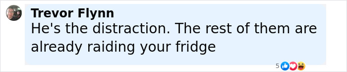 Baby Raccoon Rescued In The Most Wholesome Way After Getting Stranded On Doorstep In Heavy Rains