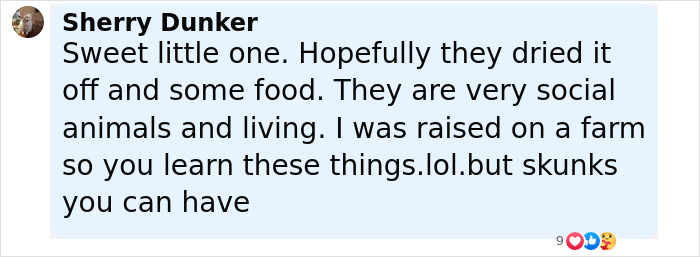 Baby Raccoon Rescued In The Most Wholesome Way After Getting Stranded On Doorstep In Heavy Rains