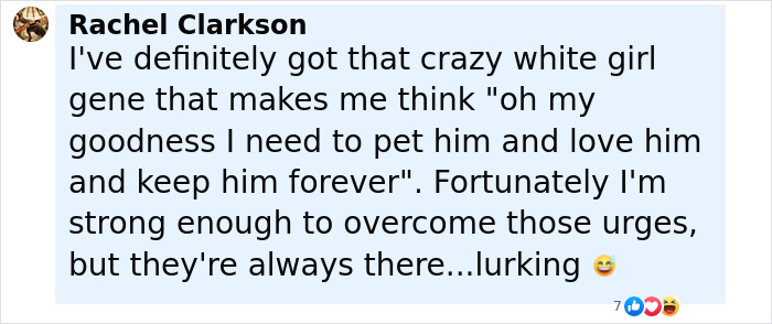 Baby Raccoon Rescued In The Most Wholesome Way After Getting Stranded On Doorstep In Heavy Rains