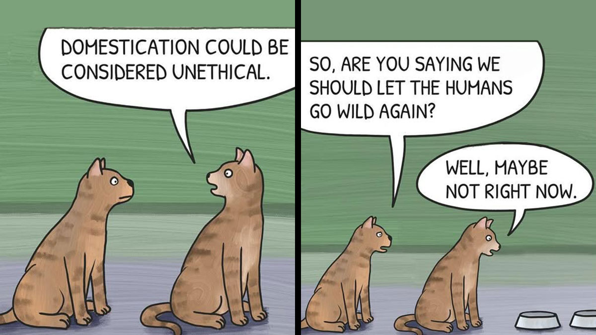Philosophical comics featuring two cats discussing the ethics of domestication and humans going wild again.