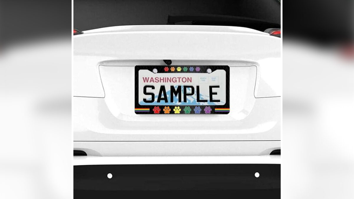 Washington license plate with rainbow paw prints and Pride theme border for year round attention.