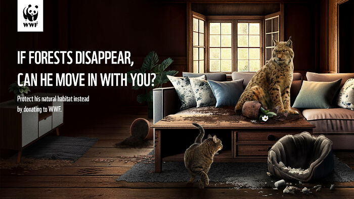 Powerful WWF ad showing a lynx in a living room with text urging forest protection to save natural habitats.