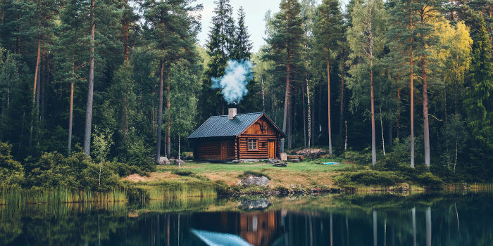 Secluded cabin in a dense forest near a calm lake, evoking raw and emotional confessions and heavy secrets atmosphere.