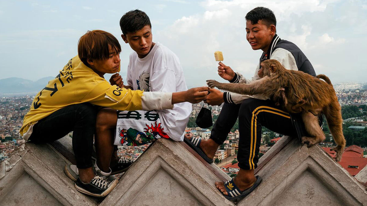 Three young men on rooftop sharing snack with monkey in raw and captivating moments from streets of Asia and beyond