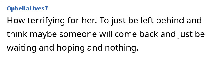 Comment expressing sympathy for tourist abandoned in active volcano, highlighting growing outrage and viral final post reactions. Comment expressing sympathy for tourist abandoned in active volcano, highlighting growing outrage and viral final post reactions.