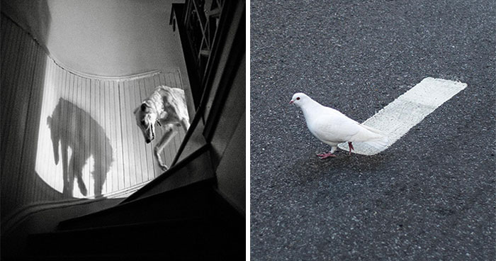 40 Times Everyday Scenes Captured By Eric Kogan Aligned So Perfectly, You Might Do A Double Take
