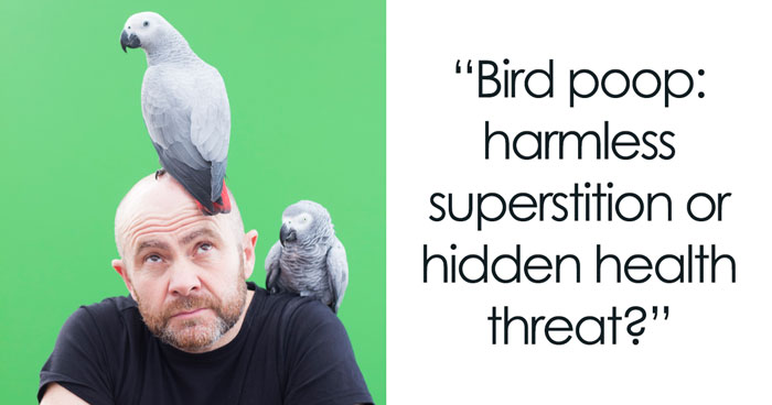 What Does It Mean When A Bird Poops On You, And Why It’s More A Public Health Risk Than A Good Omen