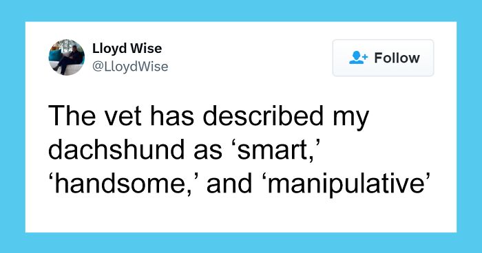 50 Adorable Animal Memes That Might Just Turn Your Day Around