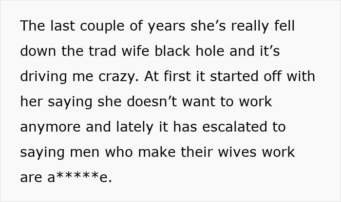 Text excerpt discussing a man’s frustration as his wife embraces the tradwife lifestyle and opposes working. Text excerpt discussing a man’s frustration as his wife embraces the tradwife lifestyle and opposes working.