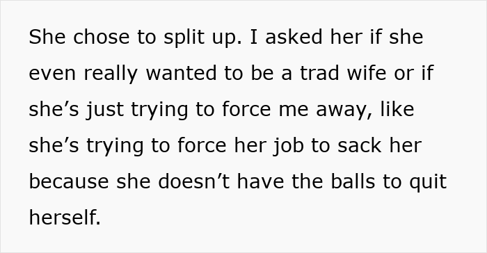 Text discussing a woman asking her husband to be a tradwife and his perspective on what that role entails. Text discussing a woman asking her husband to be a tradwife and his perspective on what that role entails.